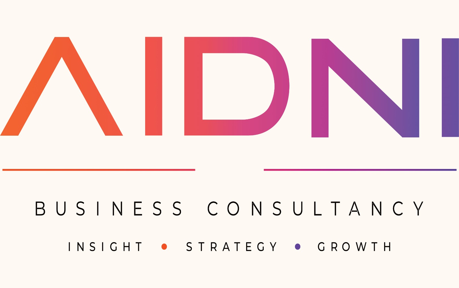 AIDNI Business Consultancy