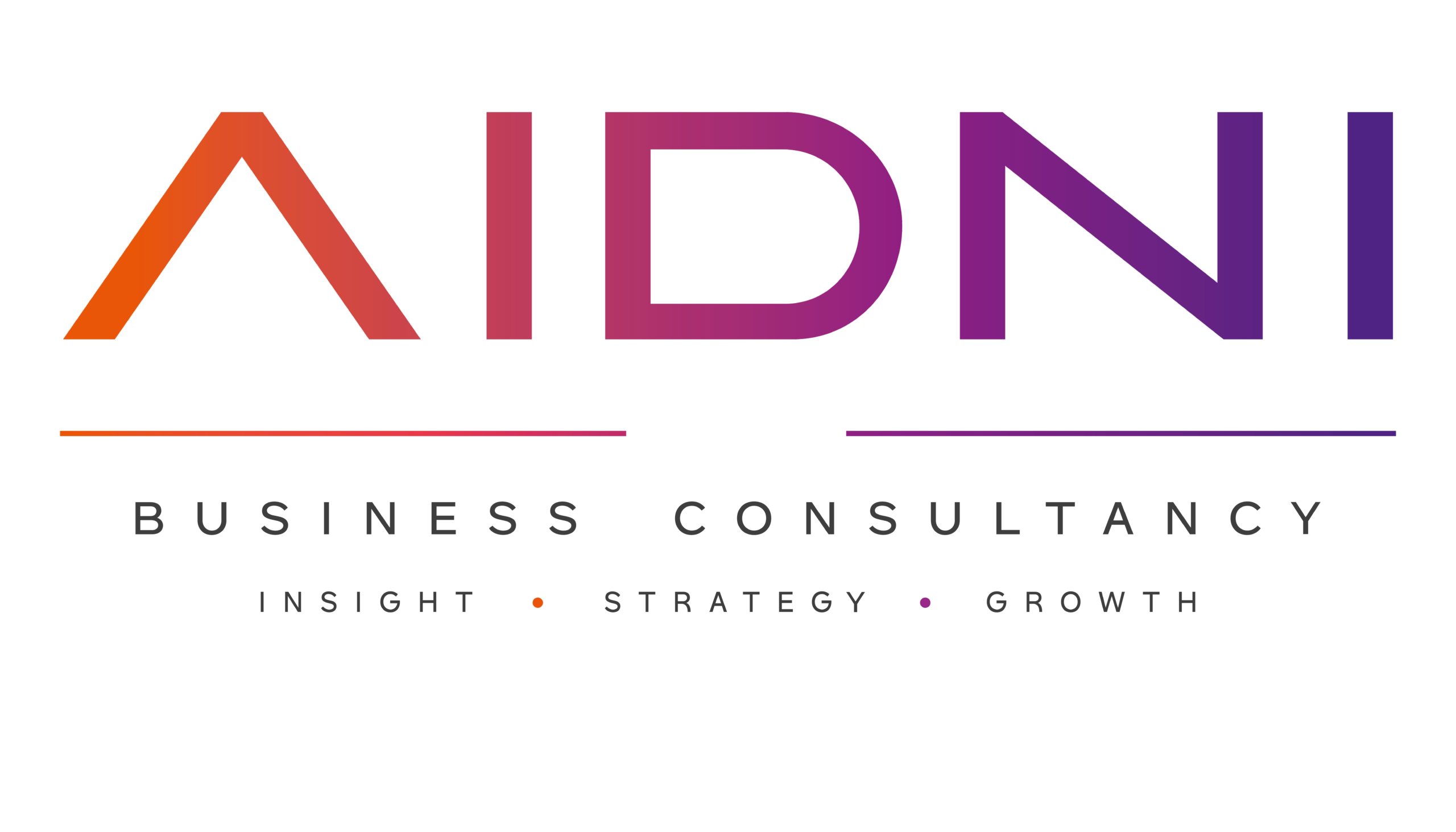 AIDNI Business Consultancy
